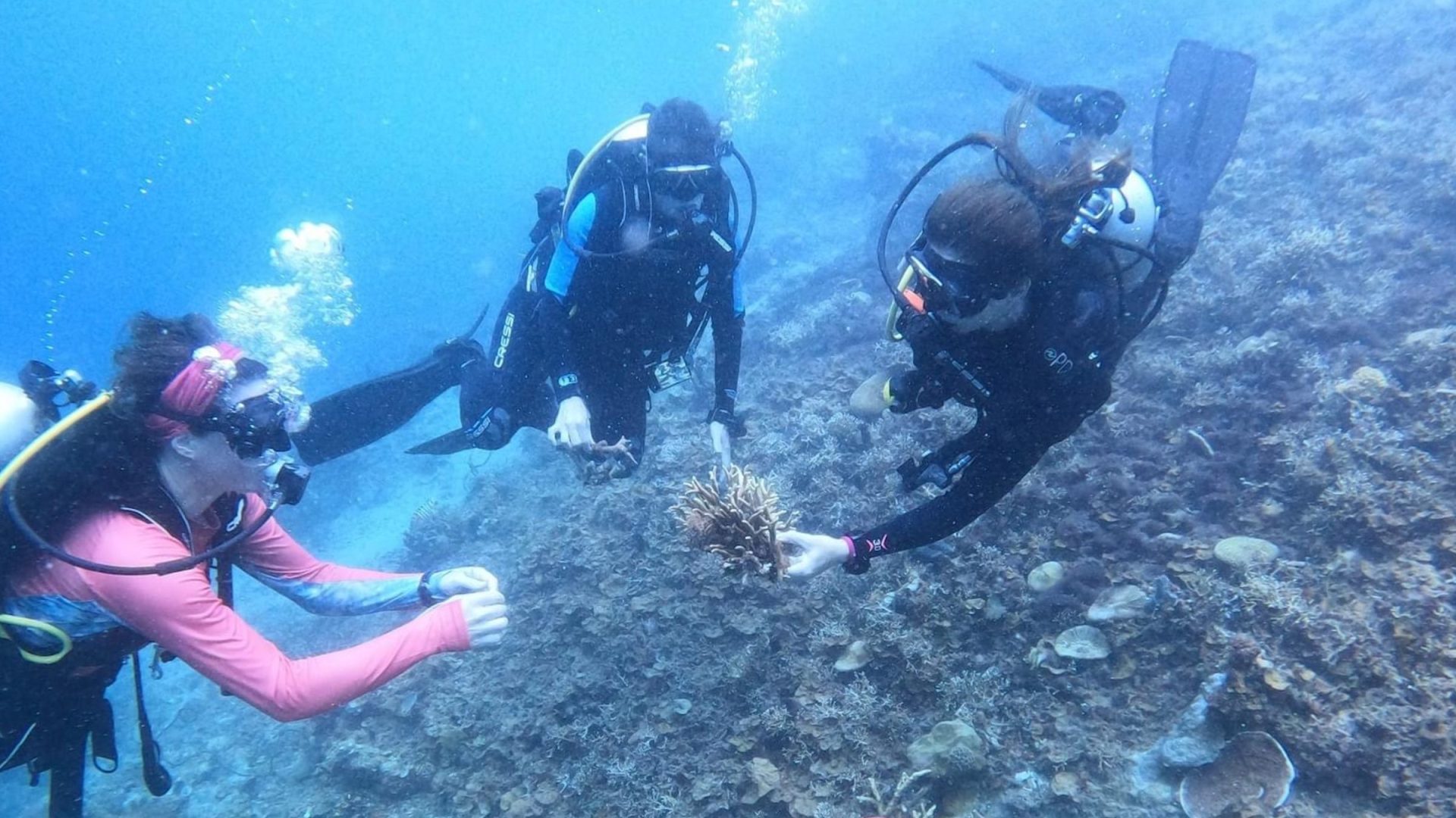 Three women snorkeling