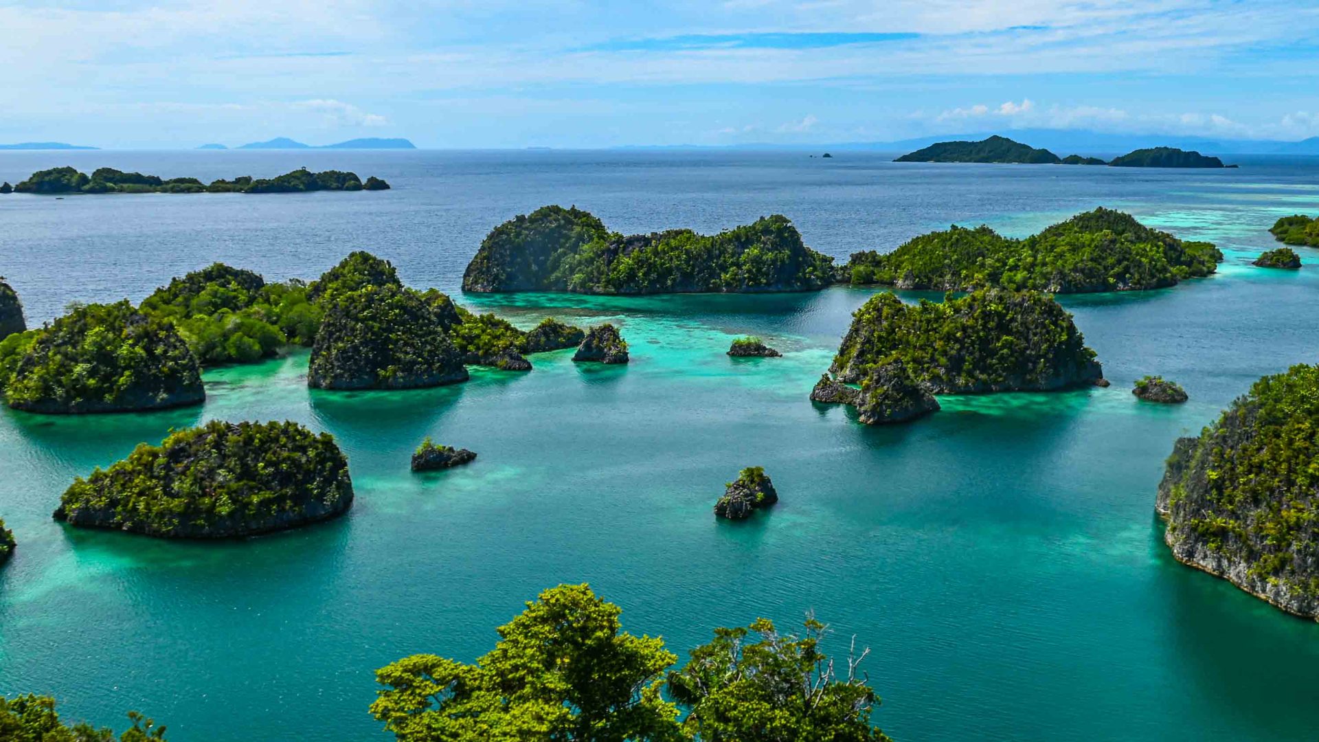 Tree-covered islands in turquoise water.