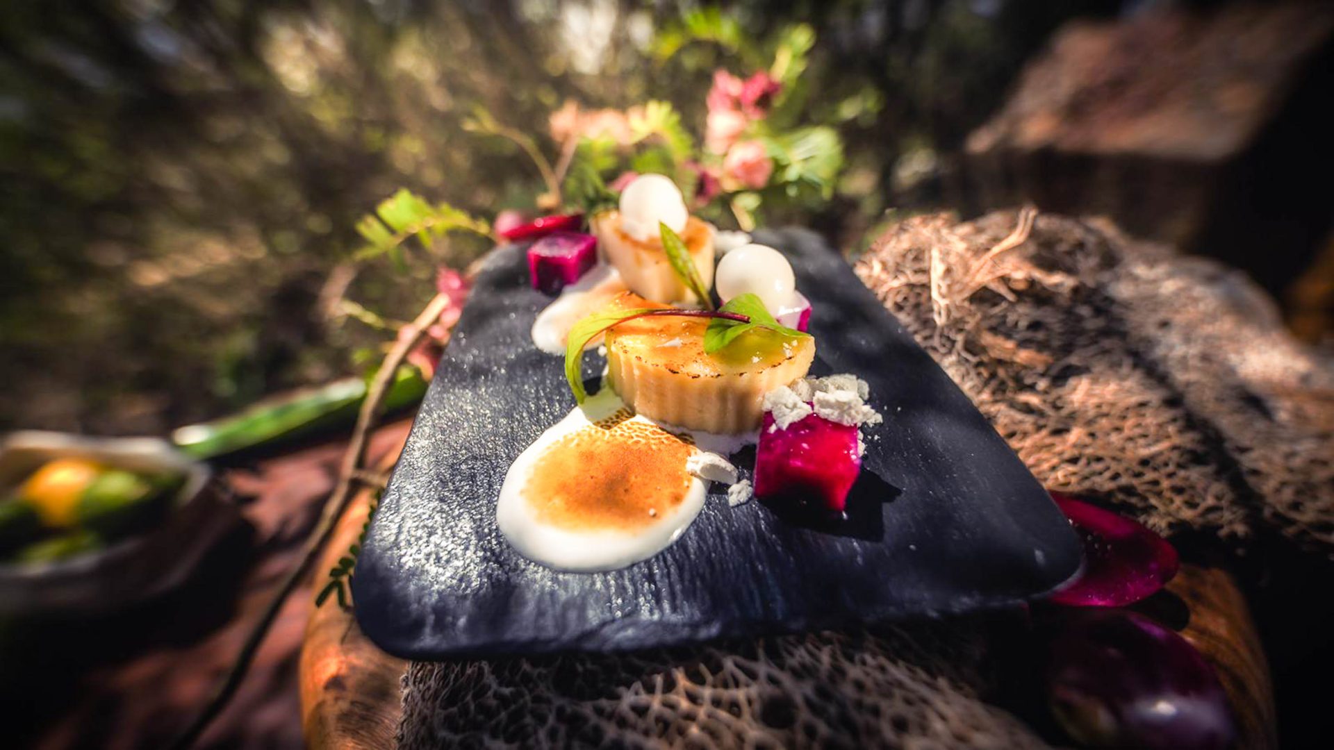 A beautifully arranged plate of food.