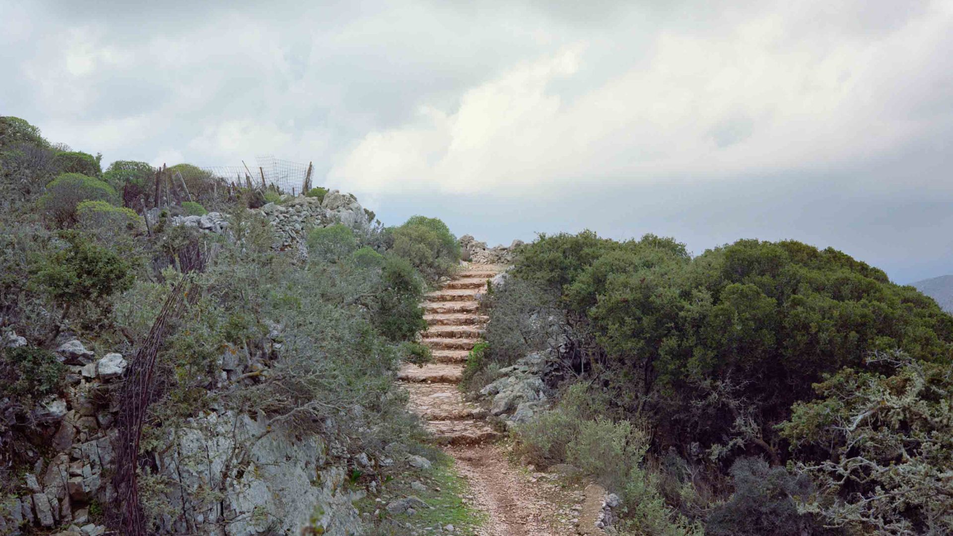 Stairs and a trail wind through shrubs.