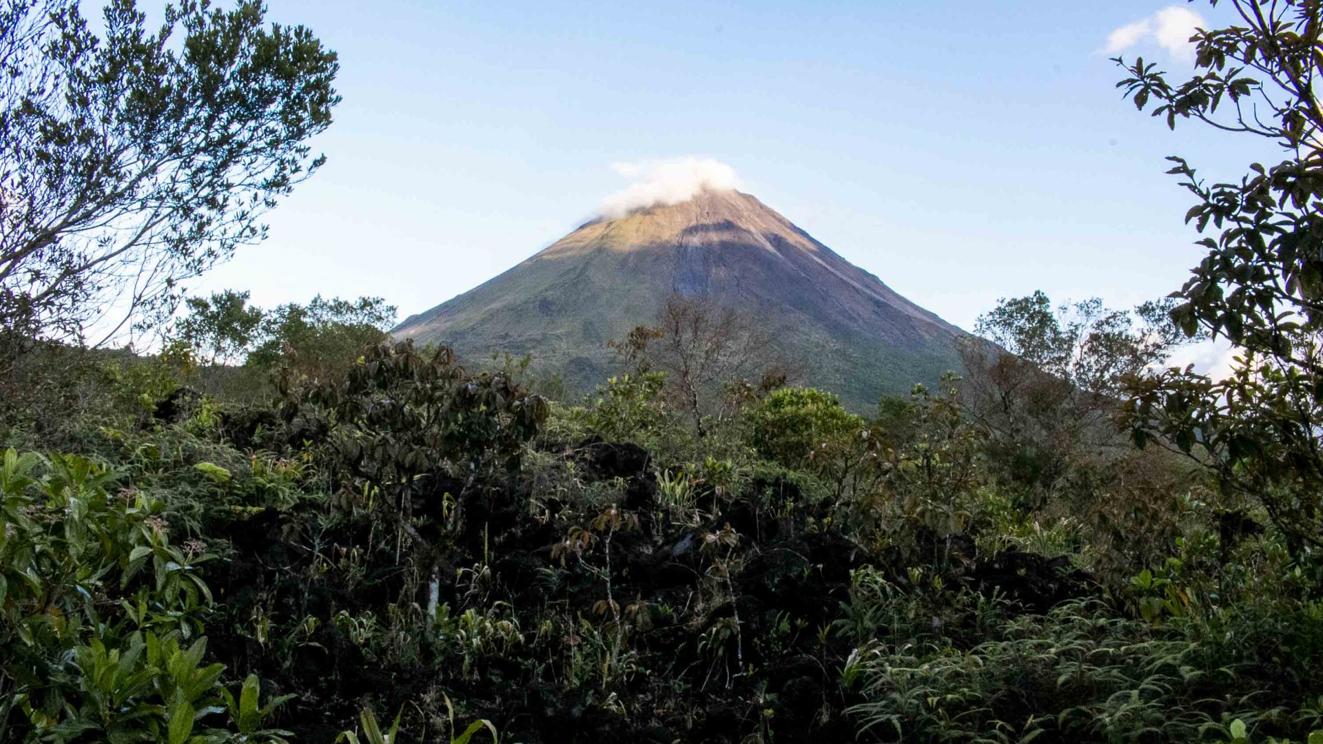 Arenal Volcano is seen through the trees.