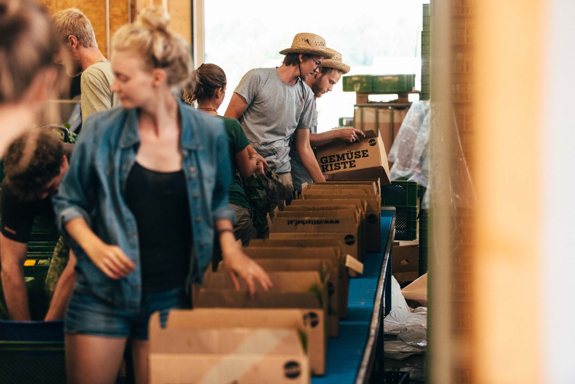 Staff pack produce boxes at Vetterhof Farm.