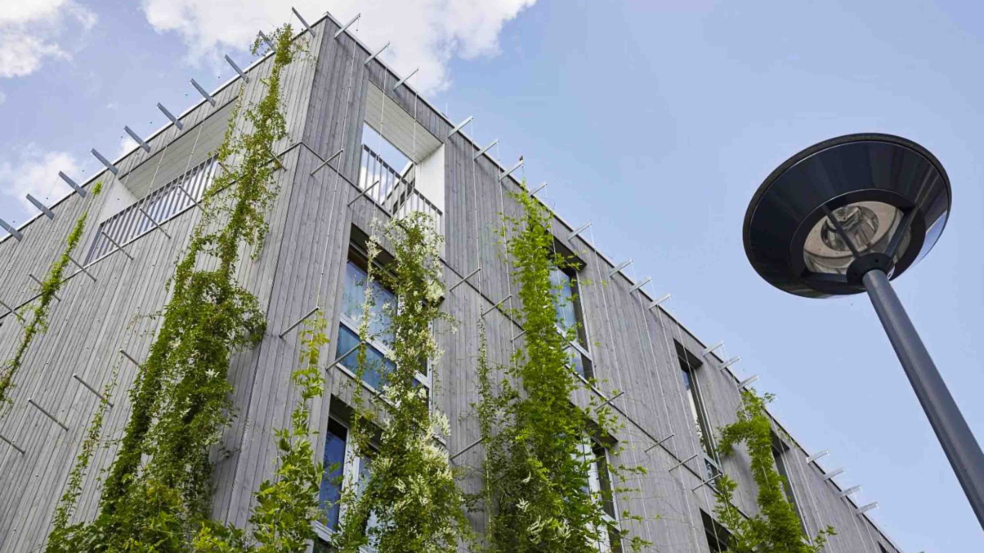 A hotel with plants growing on its walls.