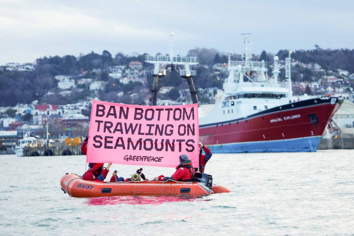 Activists in a small boat confront bottom trawler with a sign that reads 'Ban bottom trawling on seamounts'.