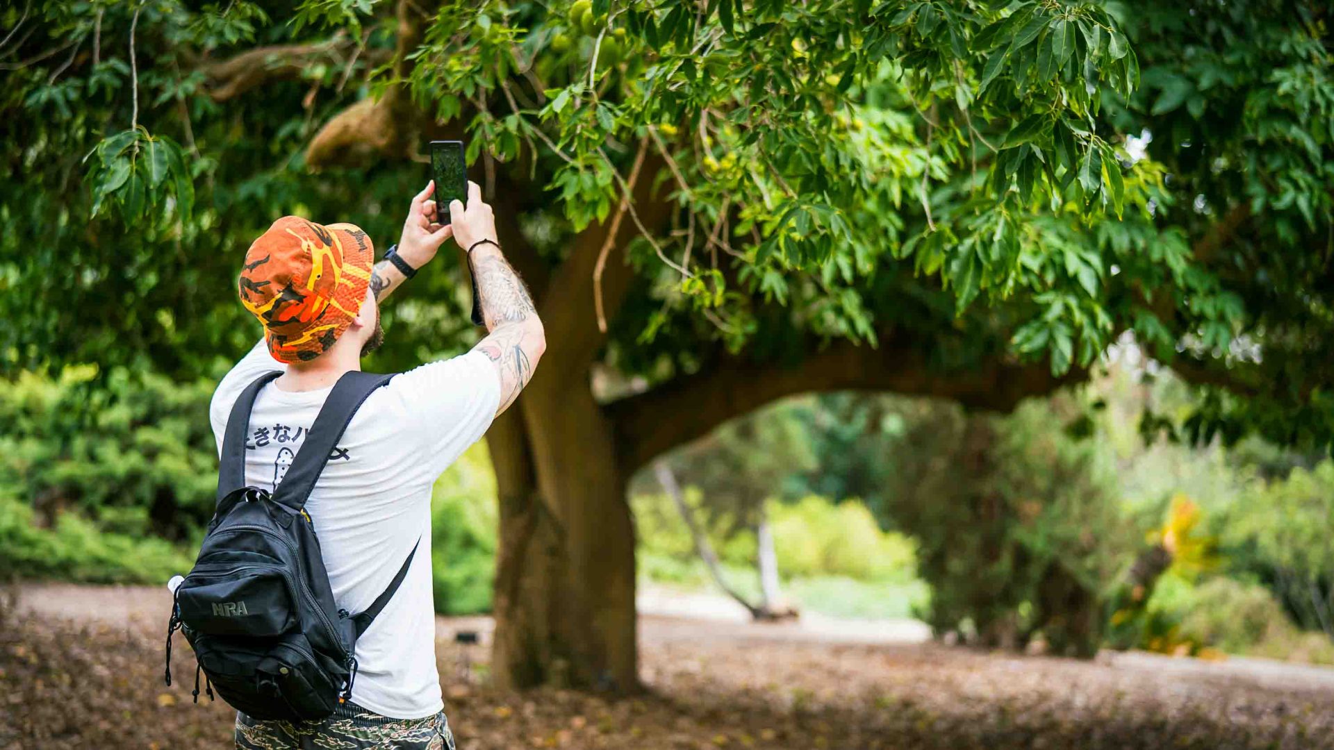 Can a smartphone replace a guide? Exploring the ‘Galapagos of the UK’ using nature apps