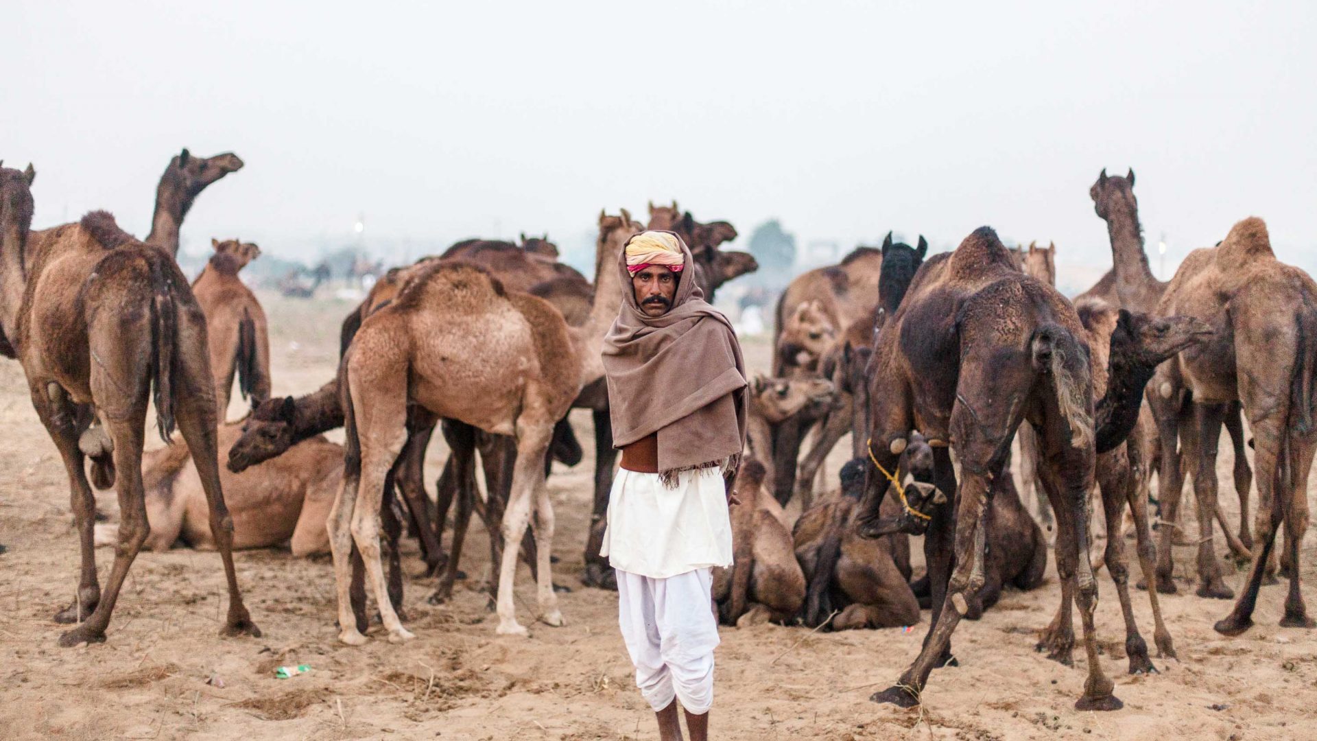 In photos: The mesmerizing and surreal Pushkar Camel Fair