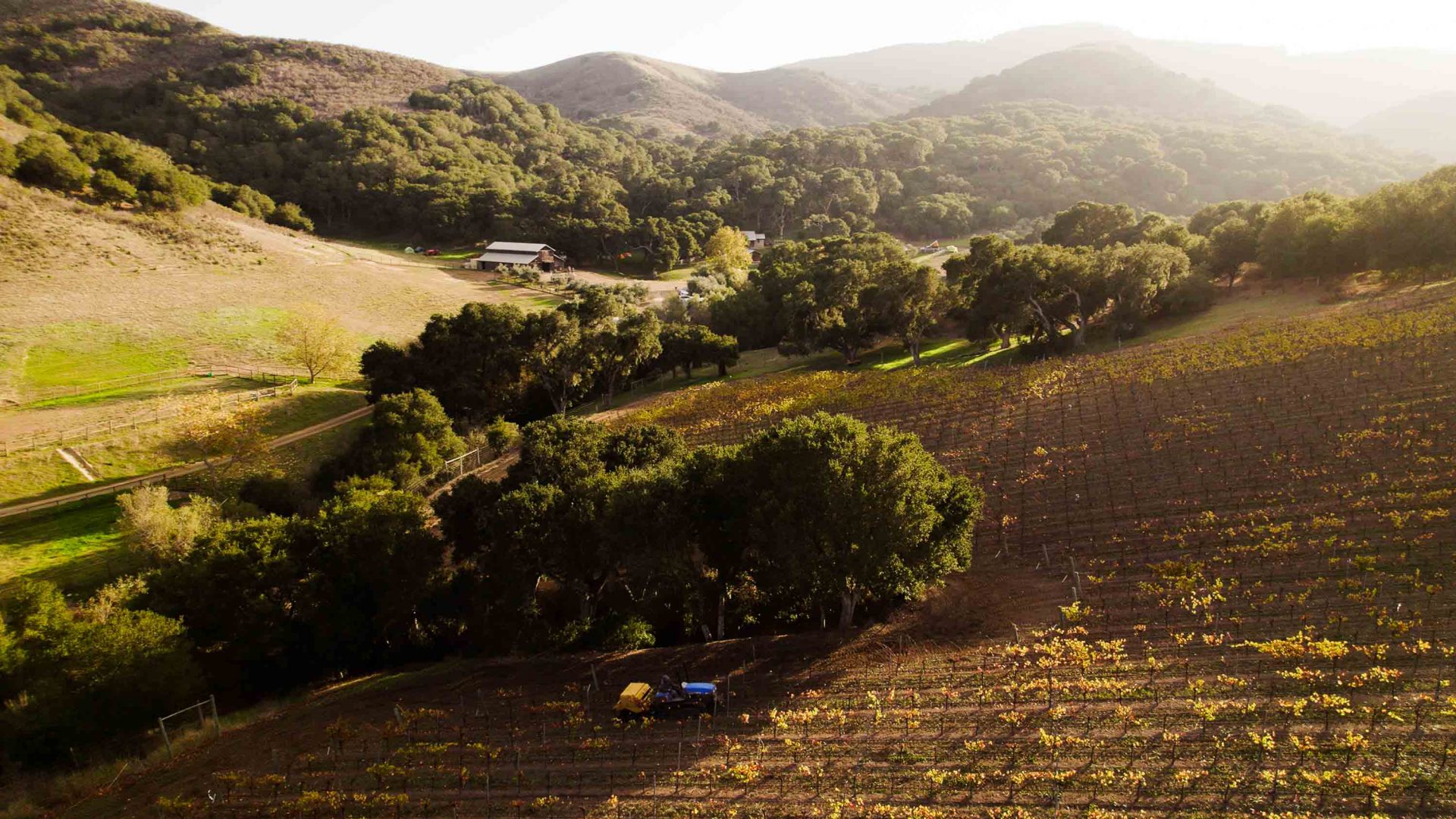 The ground beneath our feet: Can regenerative farming save our food?