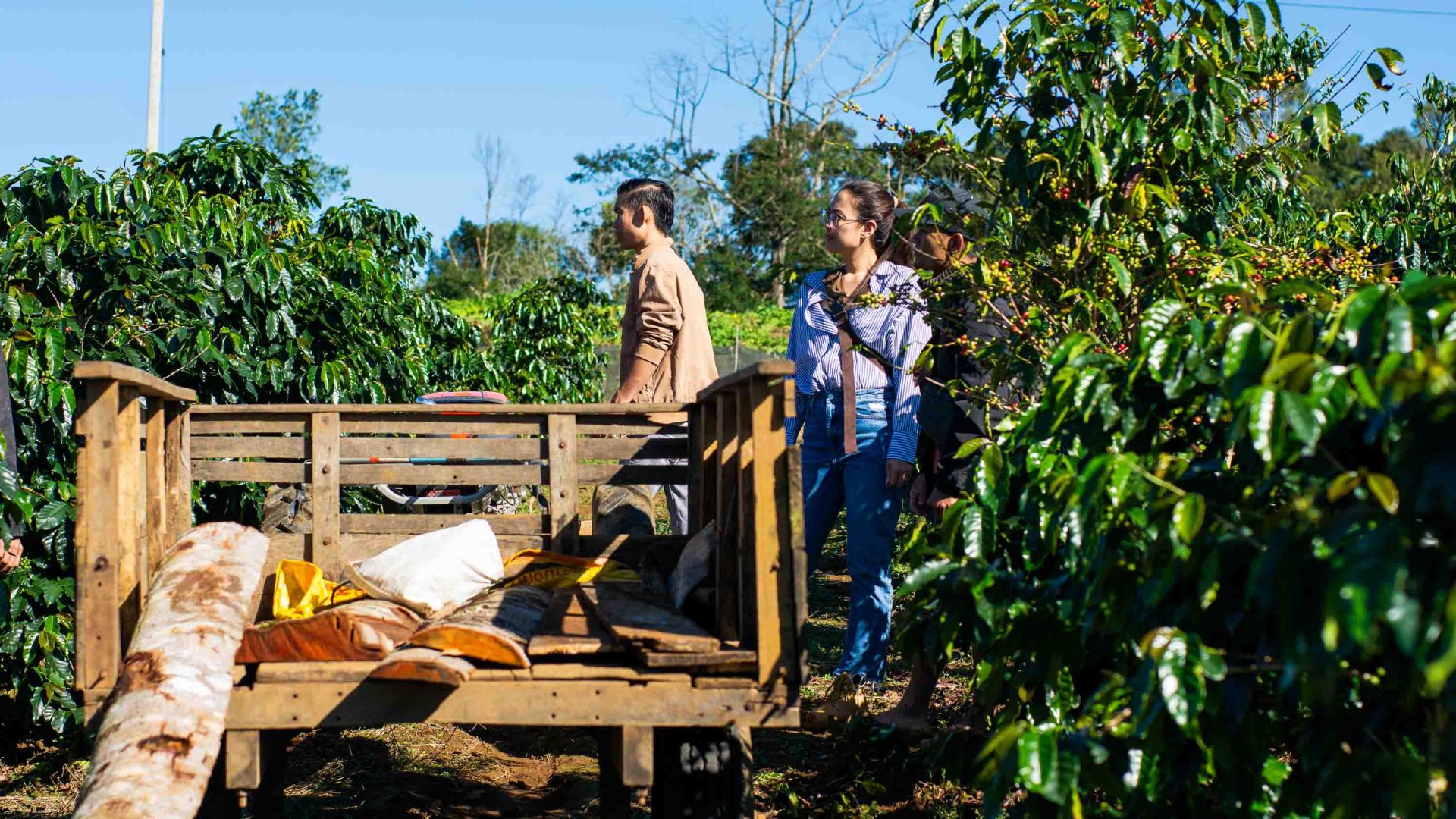 Good morning Vientiane: How the Laos capital is quietly brewing a coffee revolution