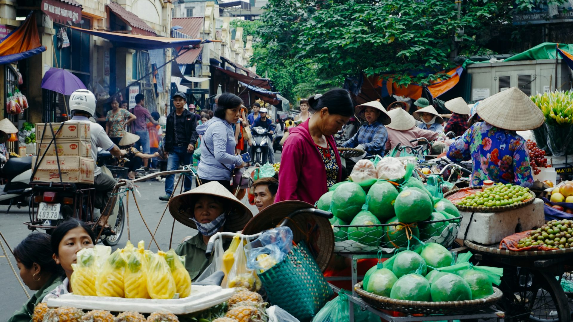 No ordinary baguette: Why Vietnam’s bánh mì is the best sandwich in the world