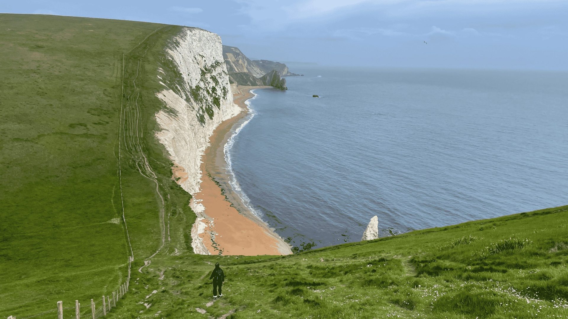 Grass-topped chalk cliffs curve around the sea in Dorset, England. A hiker appears tiny in a dip in the hills.