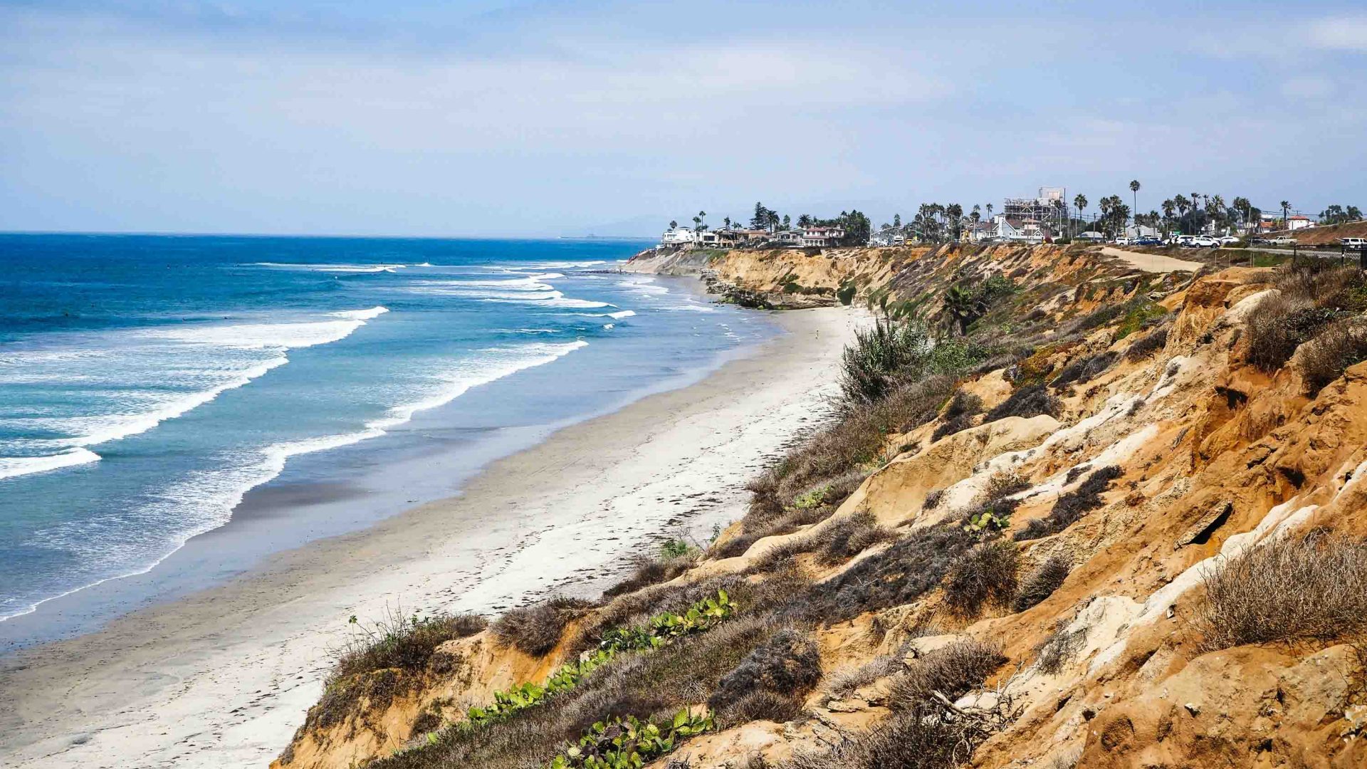 A stretch of coast with small shrubs leading down to the sea.