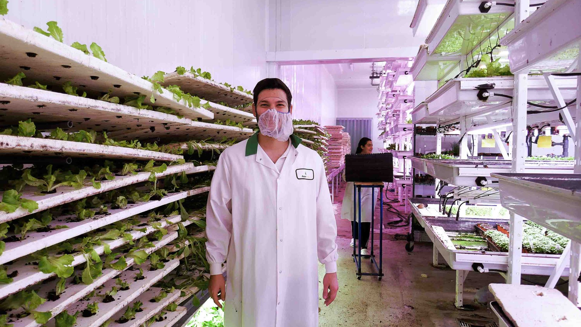 Founder of AquaVerti vertical hydroponics farm in amongst some of his gardens.