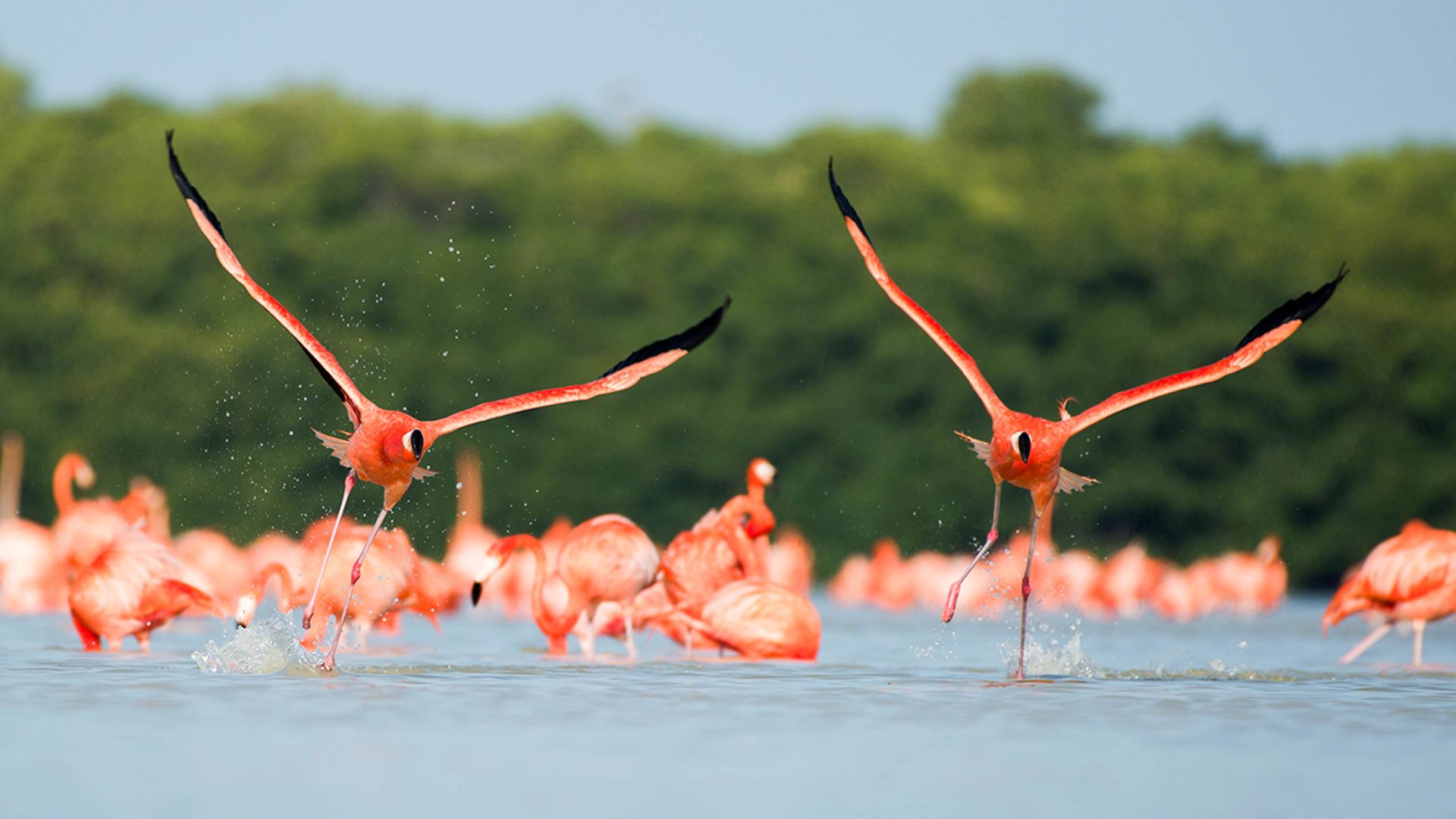 Searching for the little-known Ojo de Agua in Mexico’s Yucatán