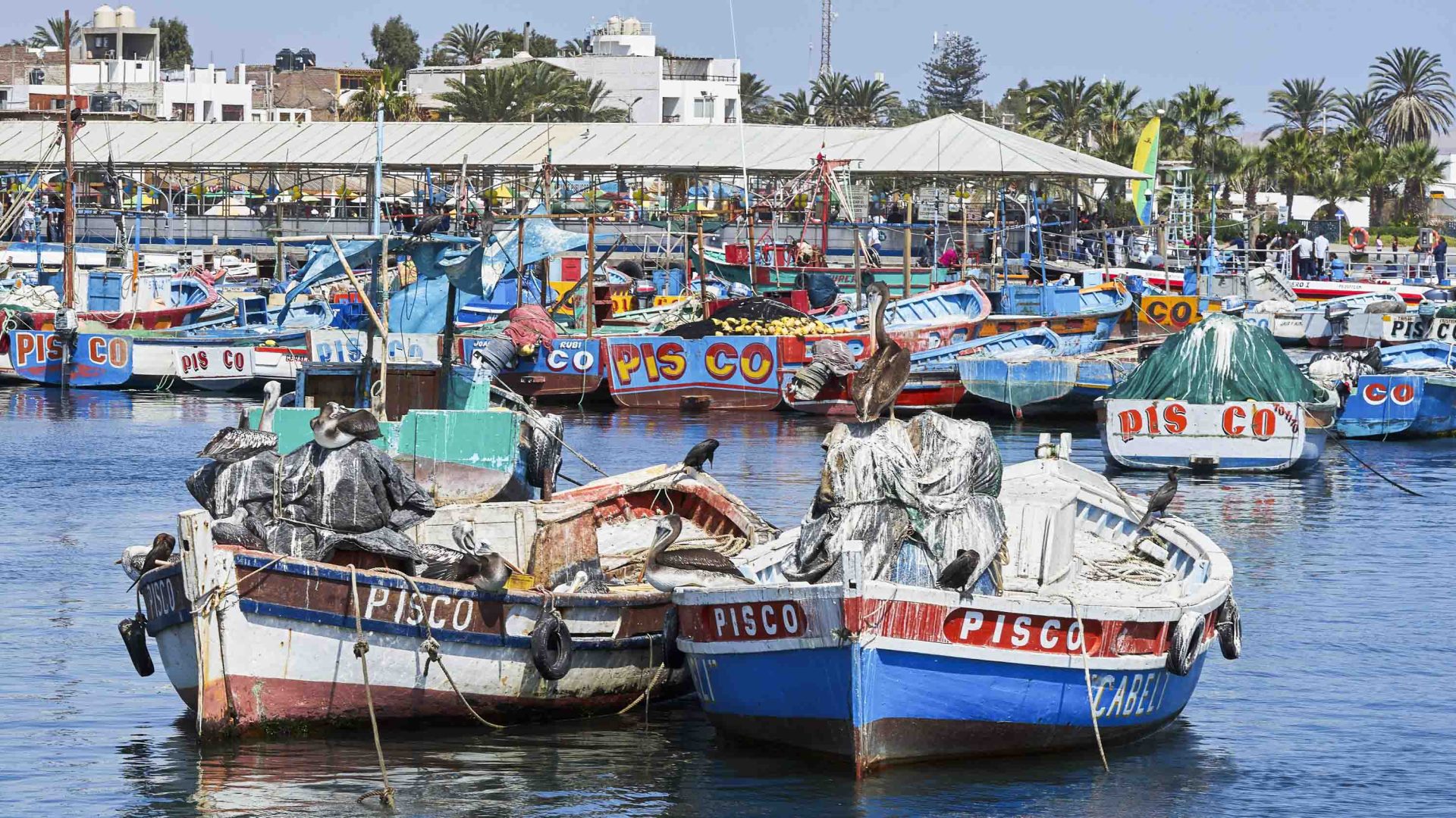 Boats in Pisco Harbour have the word Pisco written on them.