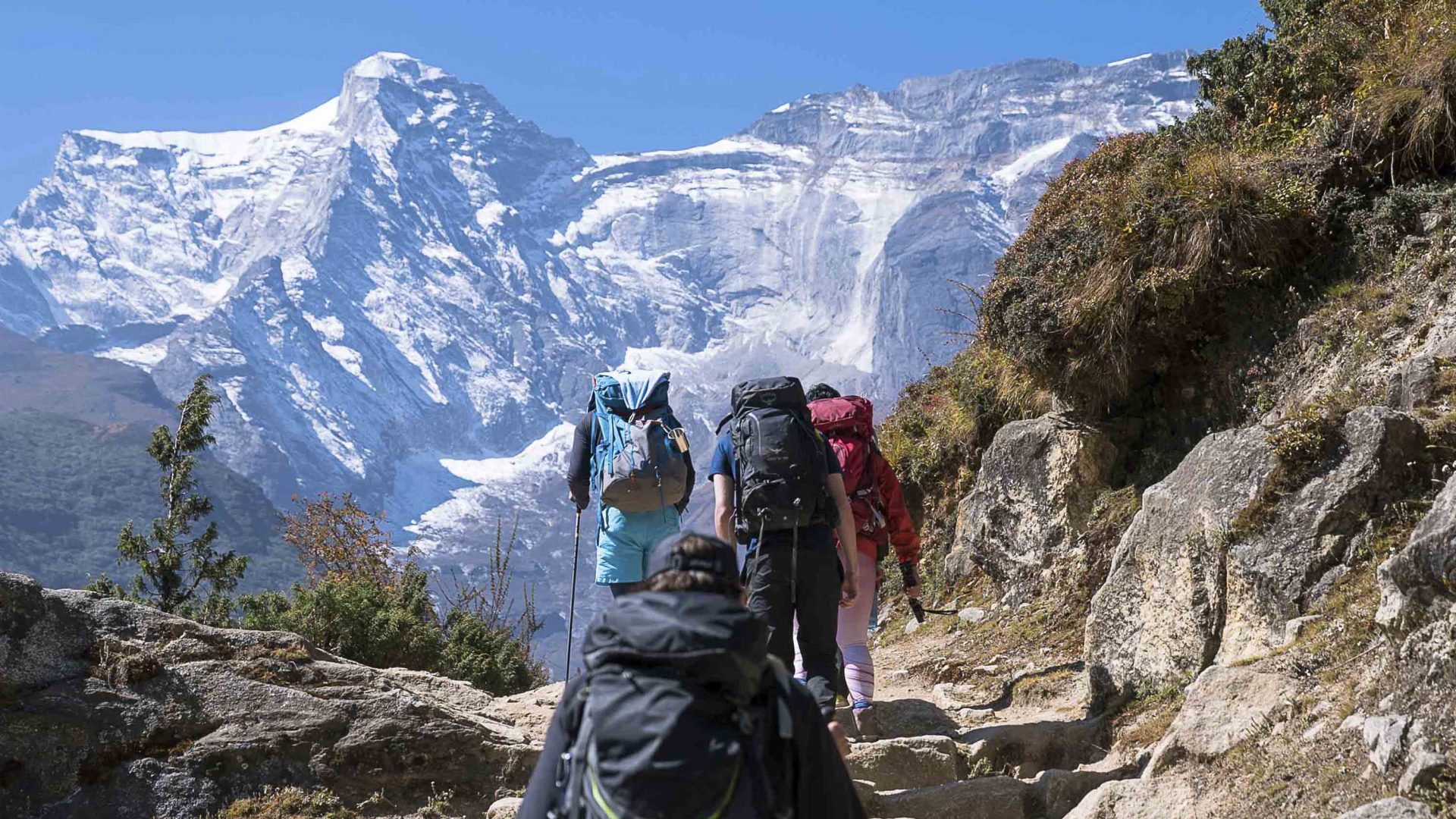 The backs of hikers ascending a mountain.