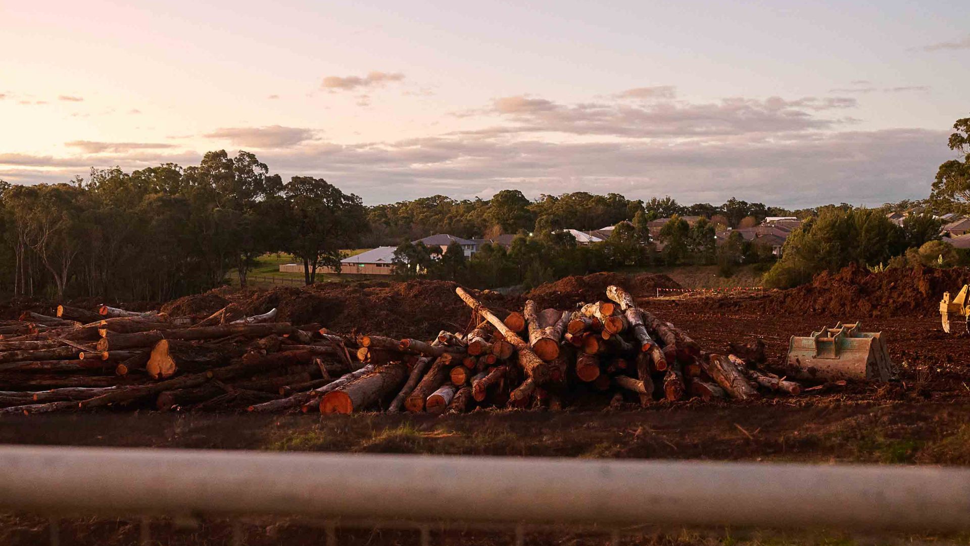 A pile of cleared land and trees in the foreground and houses in the background.