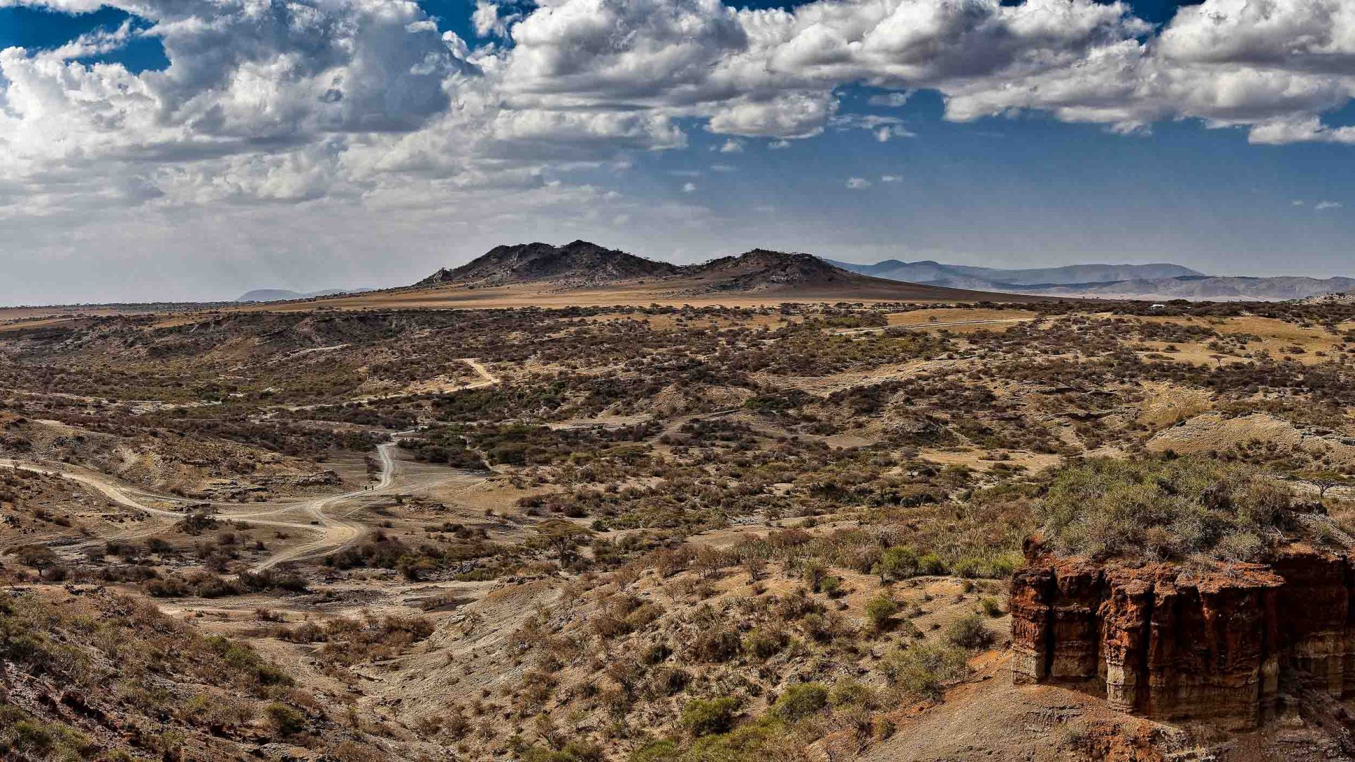 A wide, arid gorge.