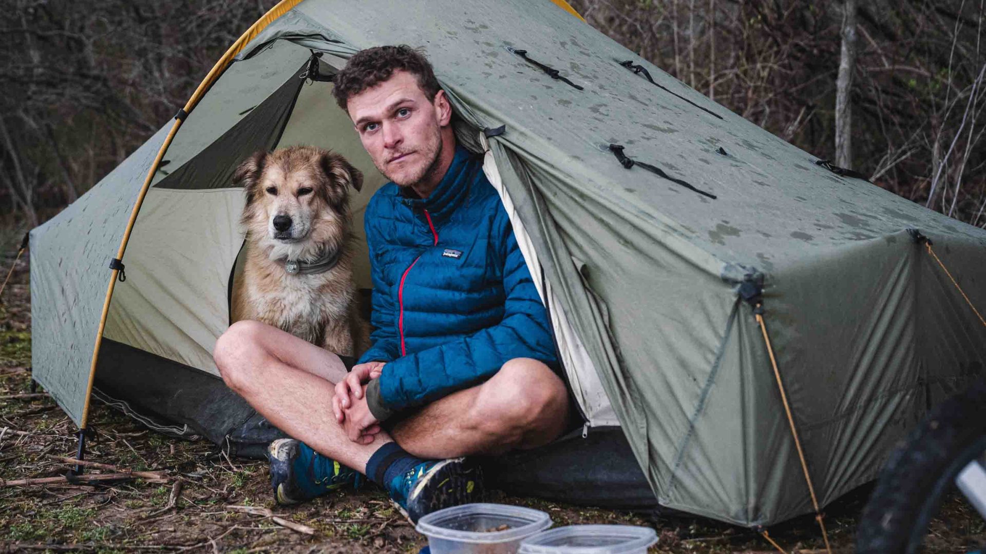 A man and his dog look out from a tent. It is splattered with rain drops.