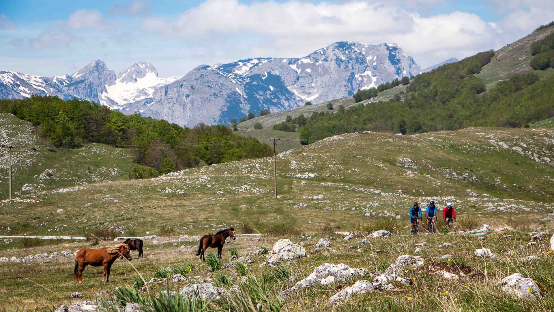 Cyclists ride past some horses and dramatic mountains.