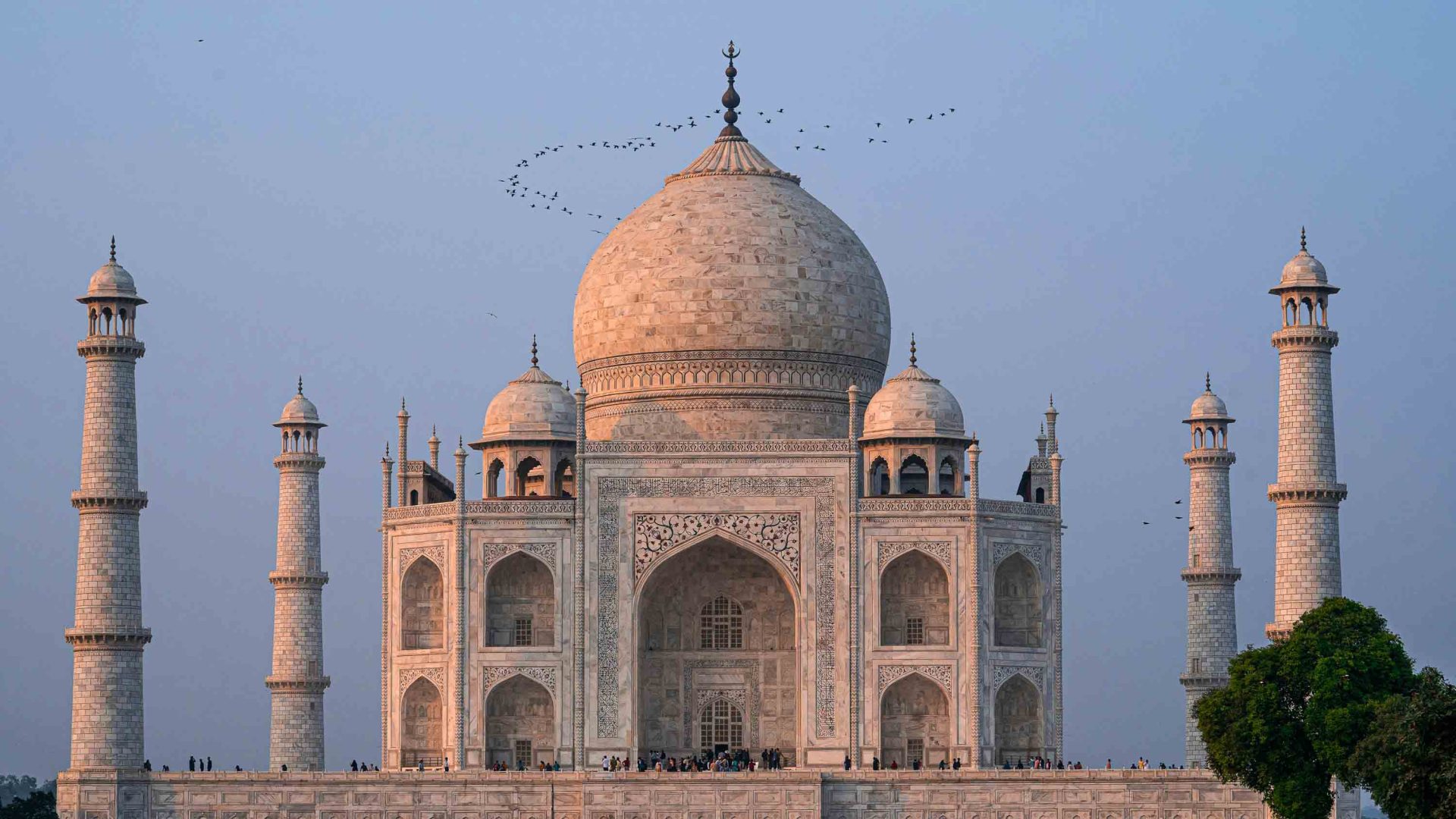 Soft sun bathes the Taj Majal as birds fly around its roof.